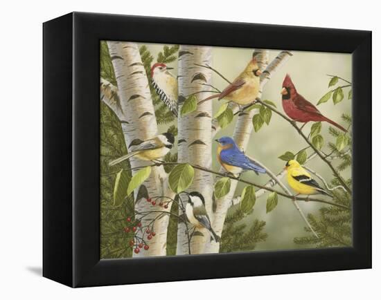 Summer Friends-William Vanderdasson-Framed Premier Image Canvas