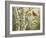 Summer Friends-William Vanderdasson-Framed Premium Giclee Print