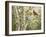 Summer Friends-William Vanderdasson-Framed Premium Giclee Print