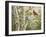 Summer Friends-William Vanderdasson-Framed Premium Giclee Print