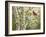 Summer Friends-William Vanderdasson-Framed Premium Giclee Print