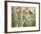 Summer Friends-William Vanderdasson-Framed Giclee Print