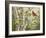 Summer Friends-William Vanderdasson-Framed Giclee Print