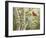 Summer Friends-William Vanderdasson-Framed Giclee Print