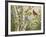 Summer Friends-William Vanderdasson-Framed Giclee Print