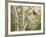 Summer Friends-William Vanderdasson-Framed Giclee Print