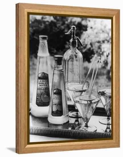 Summer Fruit Drinks-null-Framed Premier Image Canvas