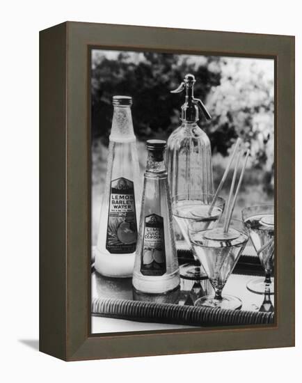 Summer Fruit Drinks-null-Framed Premier Image Canvas