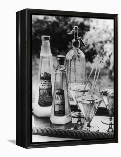 Summer Fruit Drinks-null-Framed Premier Image Canvas