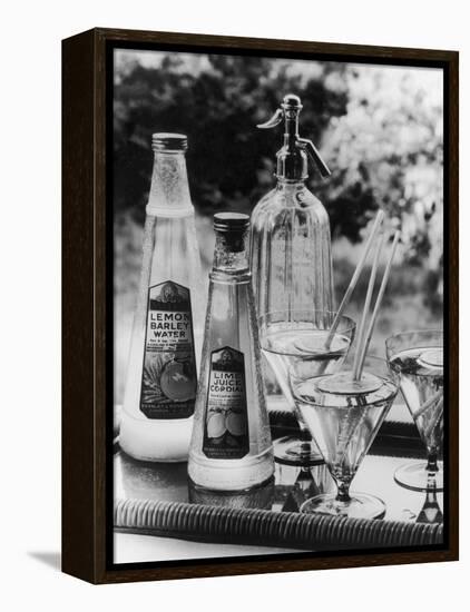 Summer Fruit Drinks-null-Framed Premier Image Canvas