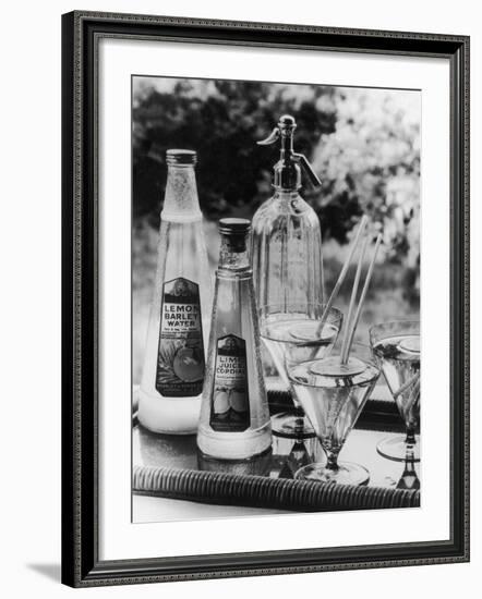 Summer Fruit Drinks-null-Framed Photographic Print