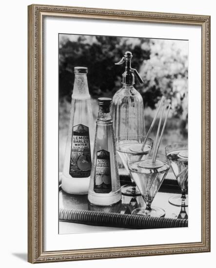 Summer Fruit Drinks-null-Framed Photographic Print