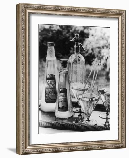 Summer Fruit Drinks-null-Framed Photographic Print