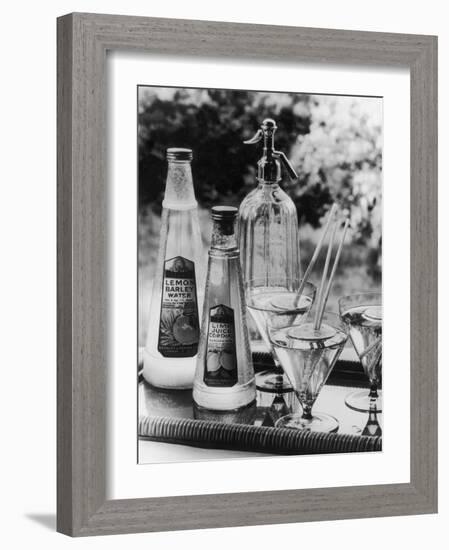 Summer Fruit Drinks-null-Framed Photographic Print