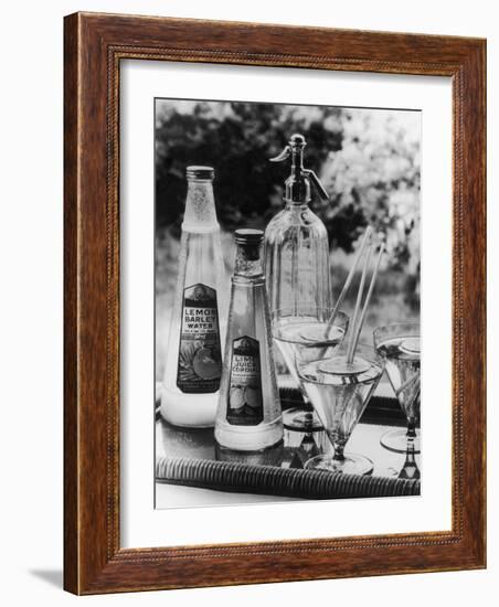 Summer Fruit Drinks-null-Framed Photographic Print