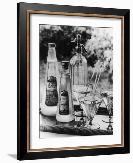 Summer Fruit Drinks-null-Framed Photographic Print