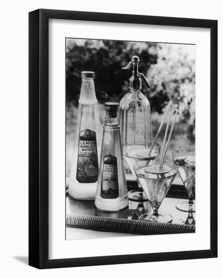 Summer Fruit Drinks-null-Framed Photographic Print