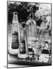 Summer Fruit Drinks-null-Mounted Photographic Print