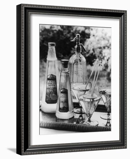Summer Fruit Drinks-null-Framed Photographic Print