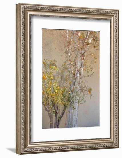 Summer Fruits-Doug Chinnery-Framed Photographic Print