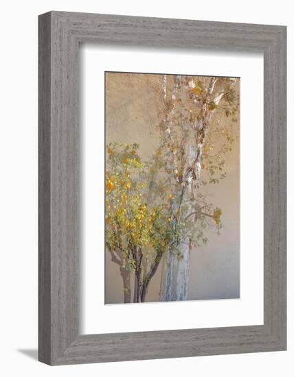 Summer Fruits-Doug Chinnery-Framed Photographic Print