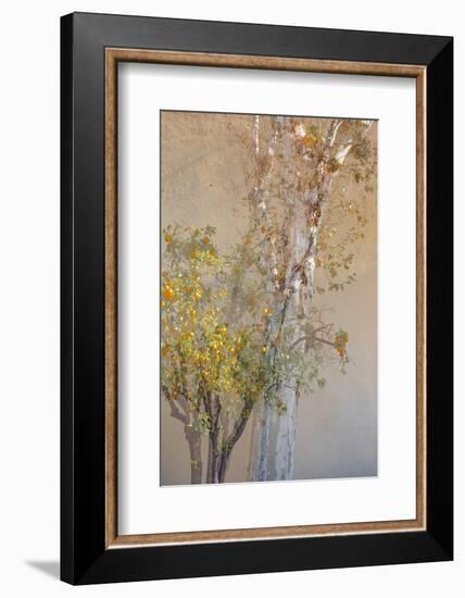 Summer Fruits-Doug Chinnery-Framed Photographic Print