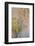 Summer Fruits-Doug Chinnery-Framed Photographic Print