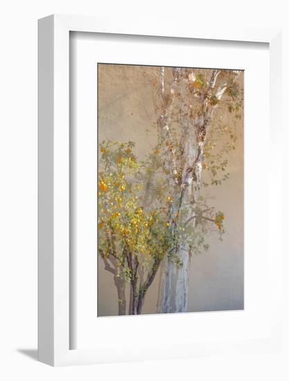 Summer Fruits-Doug Chinnery-Framed Photographic Print