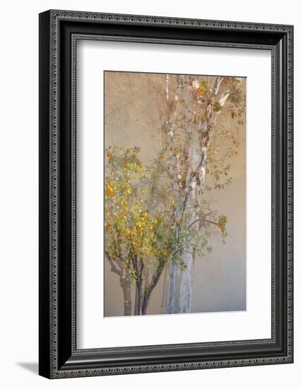 Summer Fruits-Doug Chinnery-Framed Photographic Print