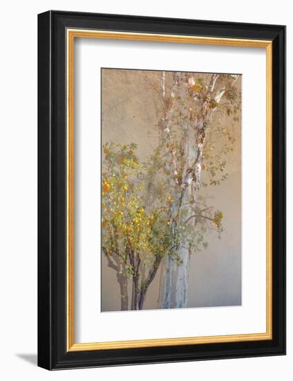 Summer Fruits-Doug Chinnery-Framed Photographic Print