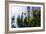 Summer Garden I-Alan Hausenflock-Framed Photographic Print