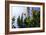 Summer Garden I-Alan Hausenflock-Framed Photographic Print