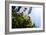 Summer Garden II-Alan Hausenflock-Framed Photographic Print