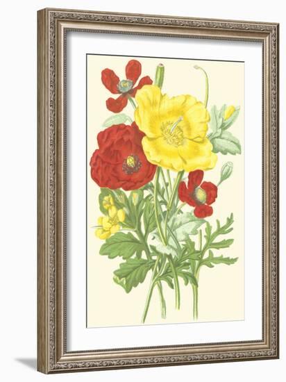 Summer Garden II-Anne Pratt-Framed Art Print