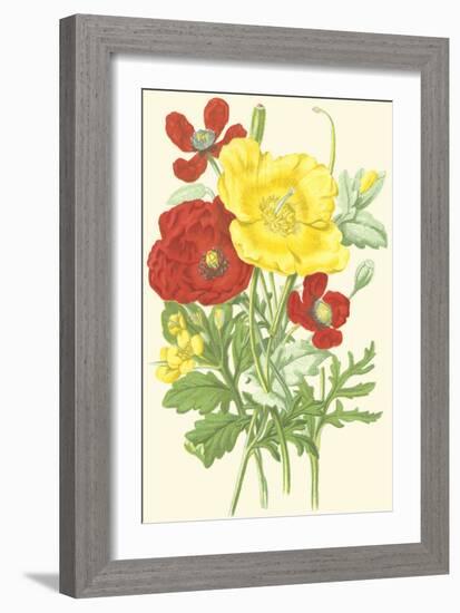 Summer Garden II-Anne Pratt-Framed Art Print