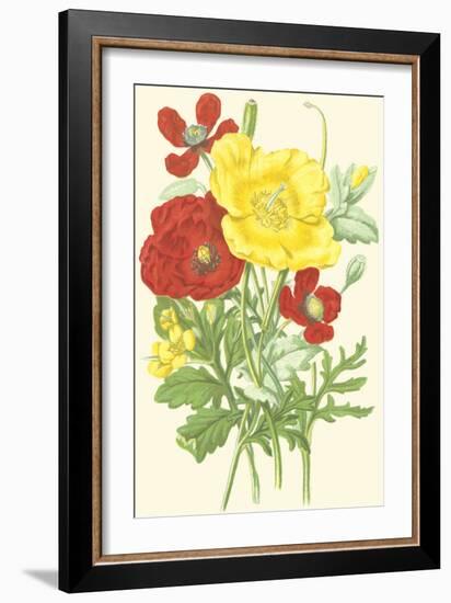 Summer Garden II-Anne Pratt-Framed Art Print