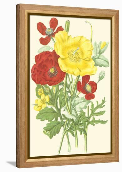 Summer Garden II-Anne Pratt-Framed Stretched Canvas