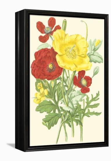 Summer Garden II-Anne Pratt-Framed Stretched Canvas