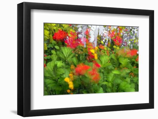 Summer Garden II-Heidi Westum-Framed Photographic Print