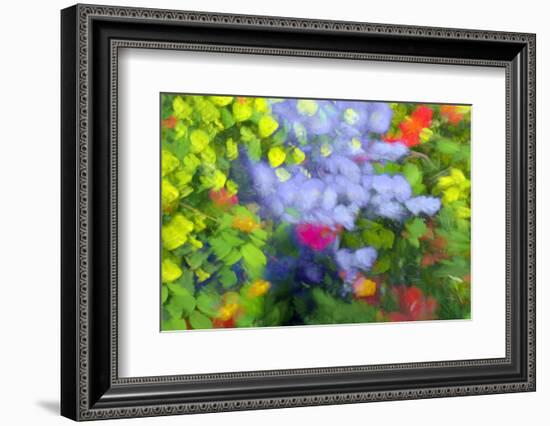 Summer Garden II-Heidi Westum-Framed Photographic Print