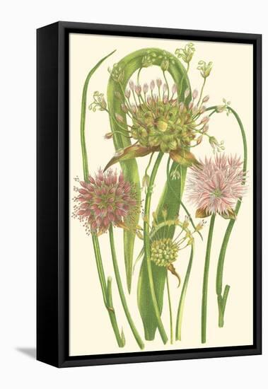 Summer Garden VI-Anne Pratt-Framed Stretched Canvas