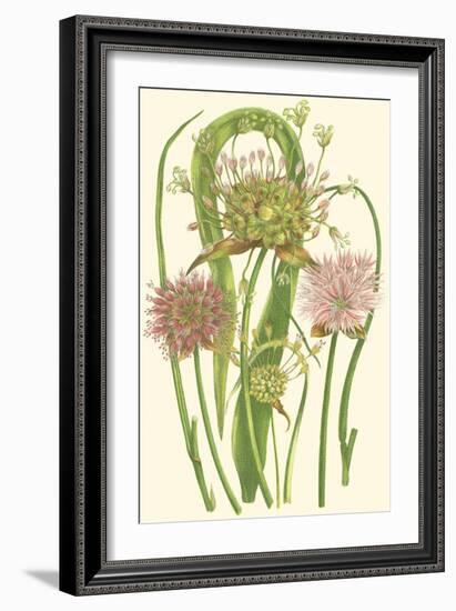 Summer Garden VI-Anne Pratt-Framed Art Print
