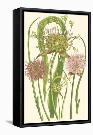 Summer Garden VI-Anne Pratt-Framed Stretched Canvas