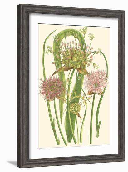 Summer Garden VI-Anne Pratt-Framed Art Print