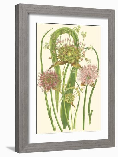 Summer Garden VI-Anne Pratt-Framed Art Print