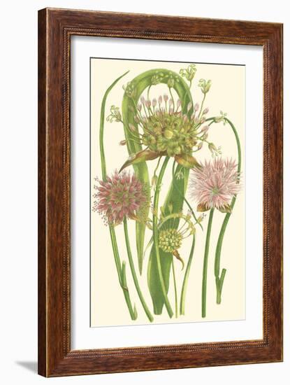 Summer Garden VI-Anne Pratt-Framed Art Print