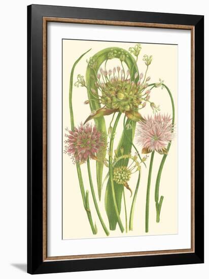 Summer Garden VI-Anne Pratt-Framed Art Print