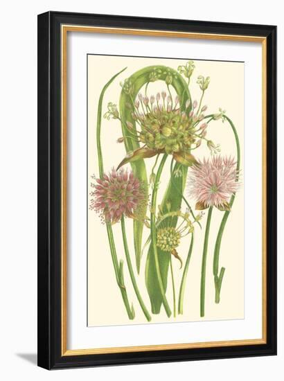 Summer Garden VI-Anne Pratt-Framed Art Print