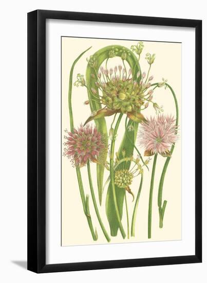 Summer Garden VI-Anne Pratt-Framed Premium Giclee Print