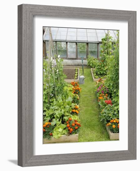 Summer Garden with Mixed Vegetables and Flowers Growing in Raised Beds with Marigolds, Norfolk, UK-Gary Smith-Framed Photographic Print